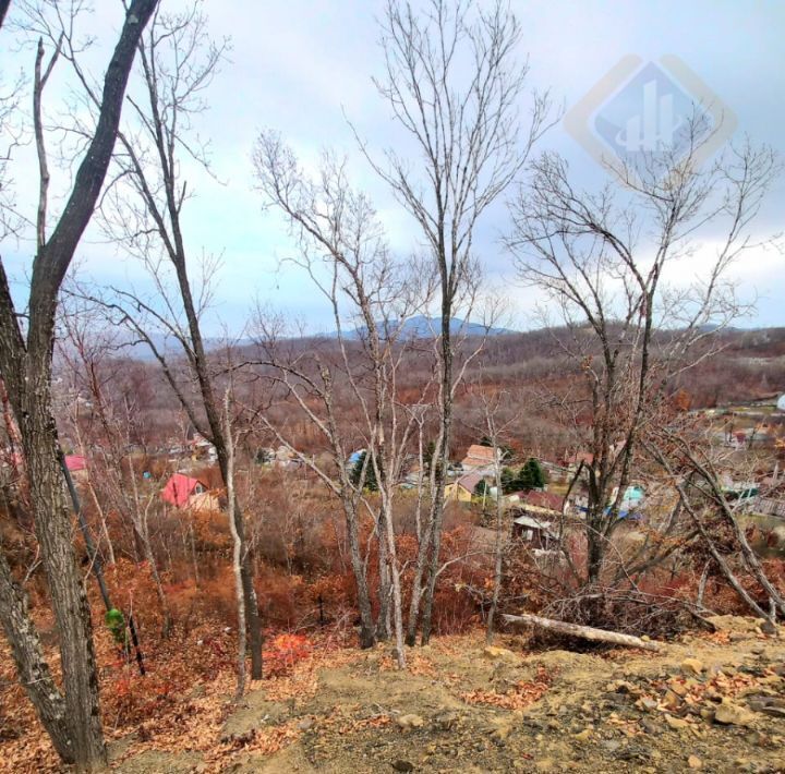 земля г Владивосток п Трудовое ул Клары Цеткин 36 Советский район фото 5