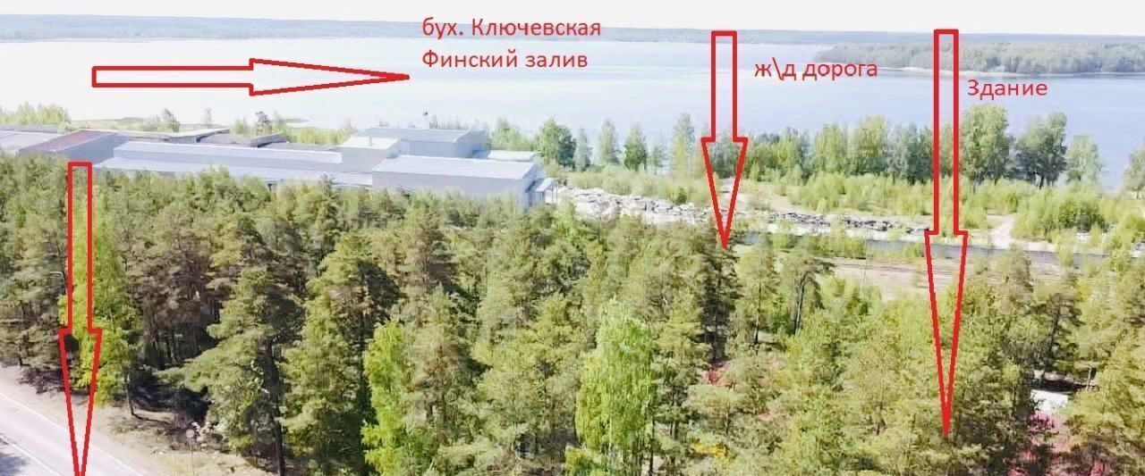 офис р-н Выборгский п Глебычево Приморское городское поселение фото 2