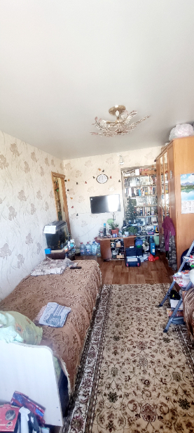 квартира г Тула р-н Центральный ул Льва Толстого 146 парк, Советский р-н фото 8