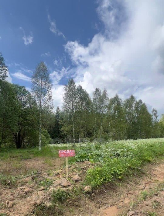 земля г Луховицы снт Звезда Волоколамский городской округ фото 7