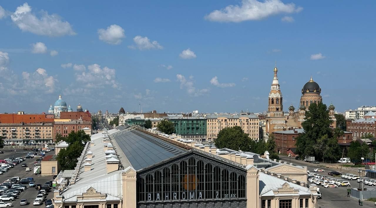 квартира г Санкт-Петербург метро Балтийская б-р Измайловский 4к/1 ЖК «Галактика Pro» округ Измайловское фото 35