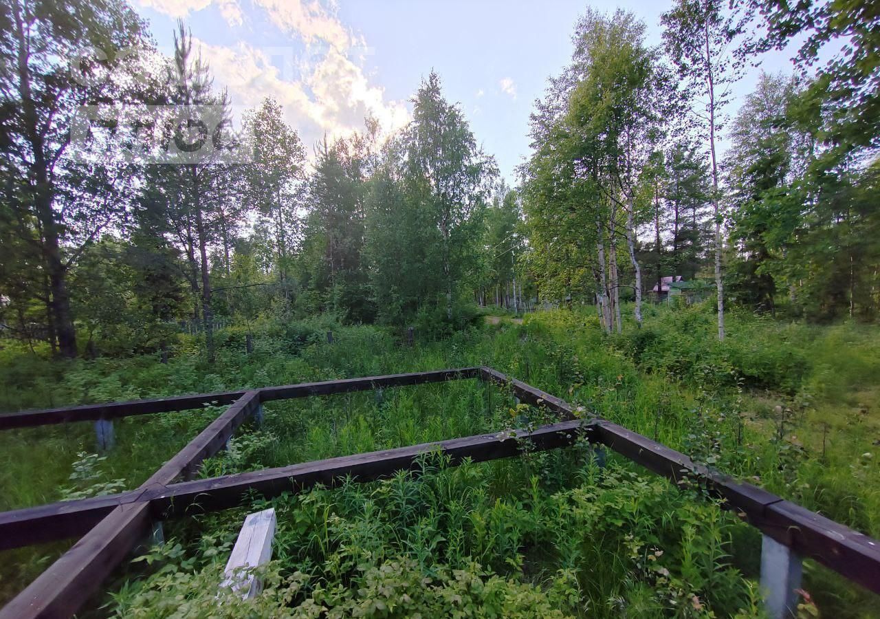 земля г Архангельск р-н Маймаксанский округ Повракульский, остров фото 7