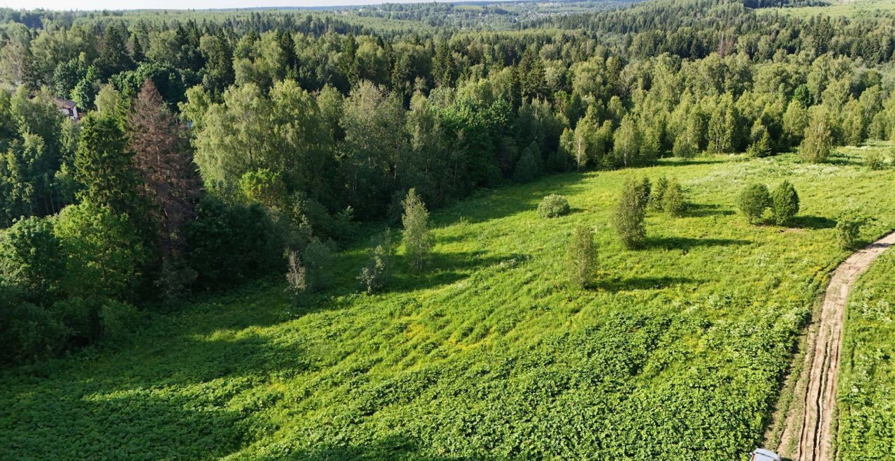 земля городской округ Дмитровский д Удино 31 км, Икша, Рогачёвское шоссе фото 10