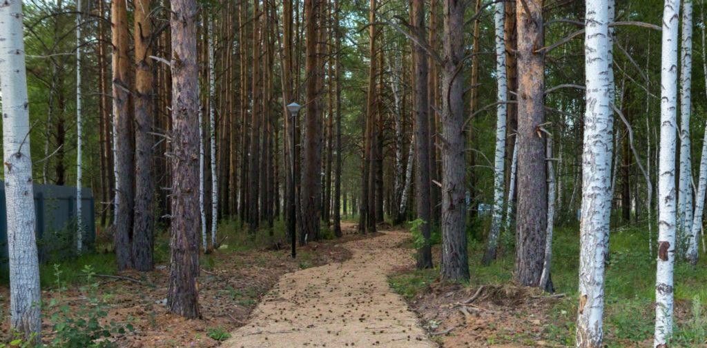 земля р-н Сысертский п Габиевский фото 1