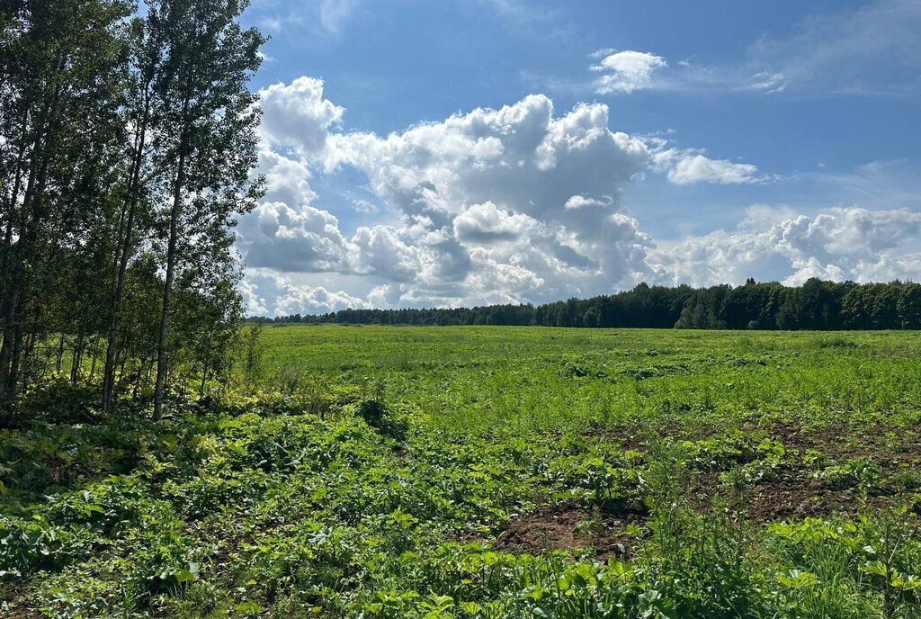 земля городской округ Клин д Голенищево фото 4