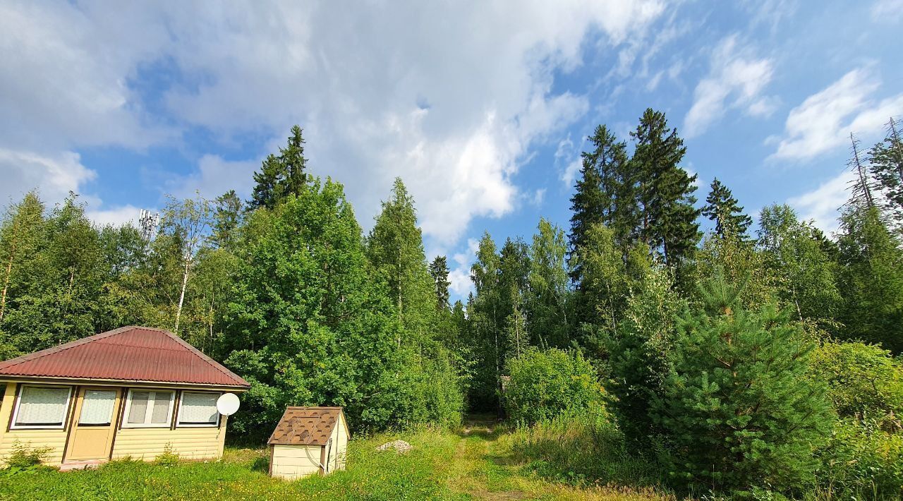 дом р-н Приозерский Ларионовское с/пос, Вуокса СНТ, ул. Центральная, 209 фото 5