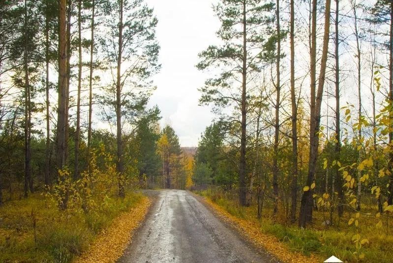 земля р-н Зеленодольский Большекургузинское сельское поселение, Казань фото 17