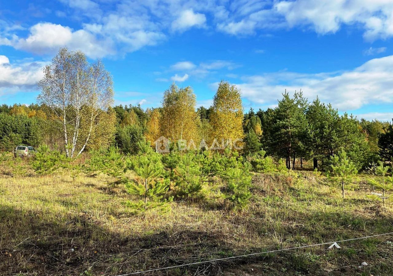 земля городской округ Раменский 9754 км, коттеджный пос. Дергаево-2, ул. МГТ, Раменское, Егорьевское шоссе фото 2