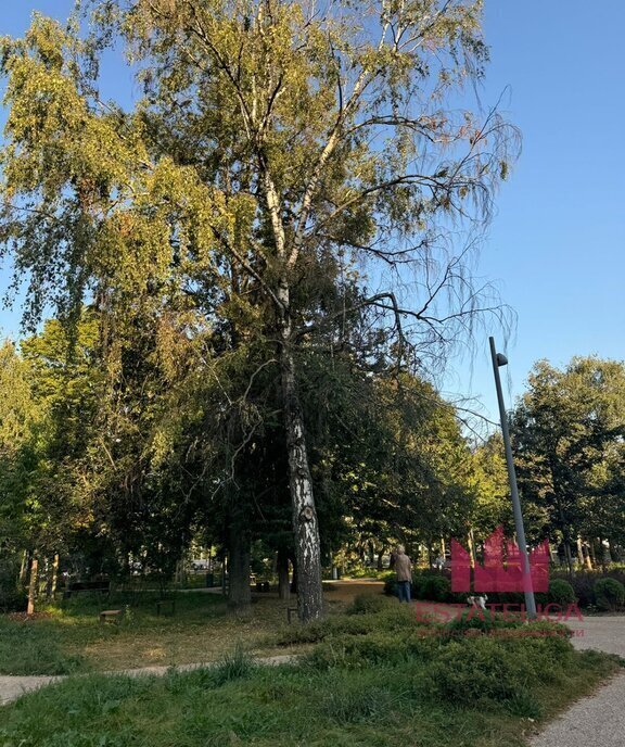 квартира г Москва метро Ленинский проспект ул Фотиевой 3 муниципальный округ Гагаринский фото 14