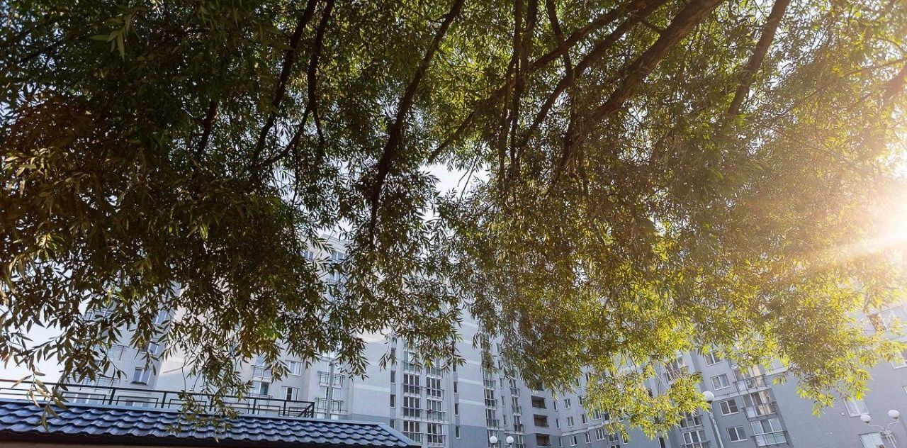 комната г Калининград р-н Ленинградский ул Маршала Баграмяна 36 фото 3