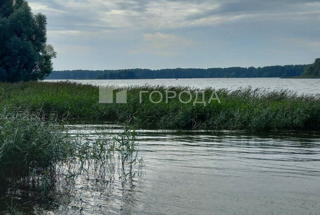 дом городской округ Солнечногорск д Пятница 159 фото 20