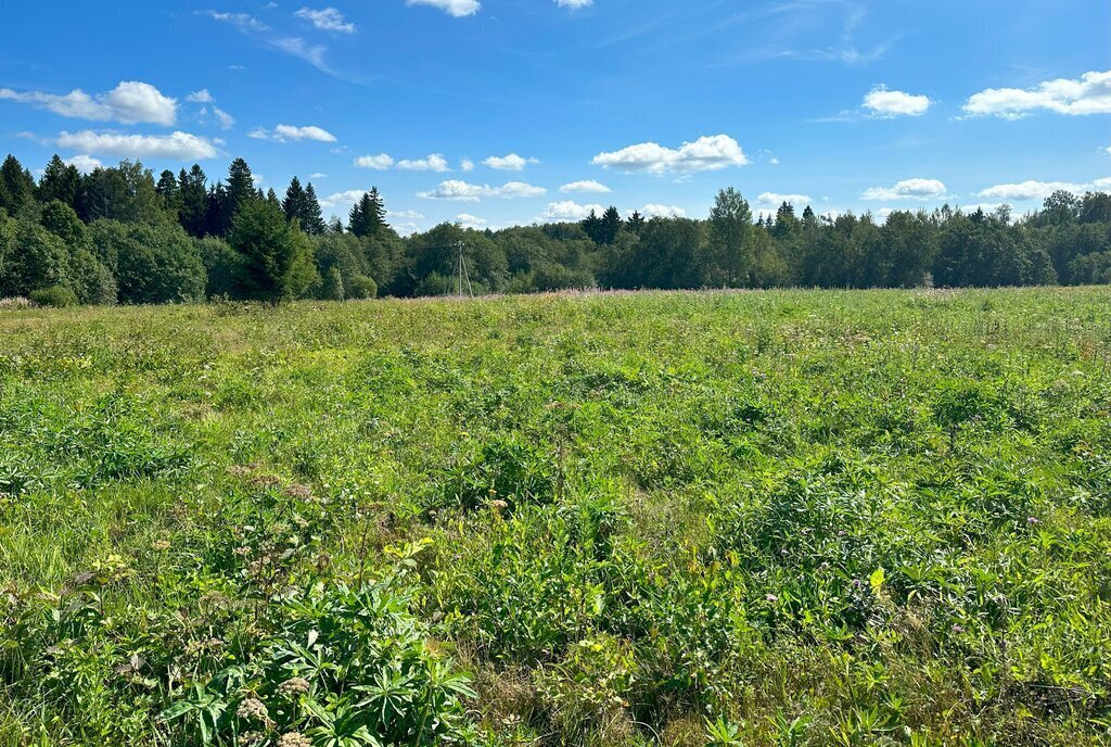 земля городской округ Клин д Вертково фото 29