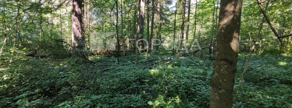 земля городской округ Рузский п Тучково ул Картино фото 26