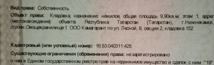 гараж р-н Нижнекамский г Нижнекамск ул Лесная 8 муниципальное образование Нижнекамск фото 1