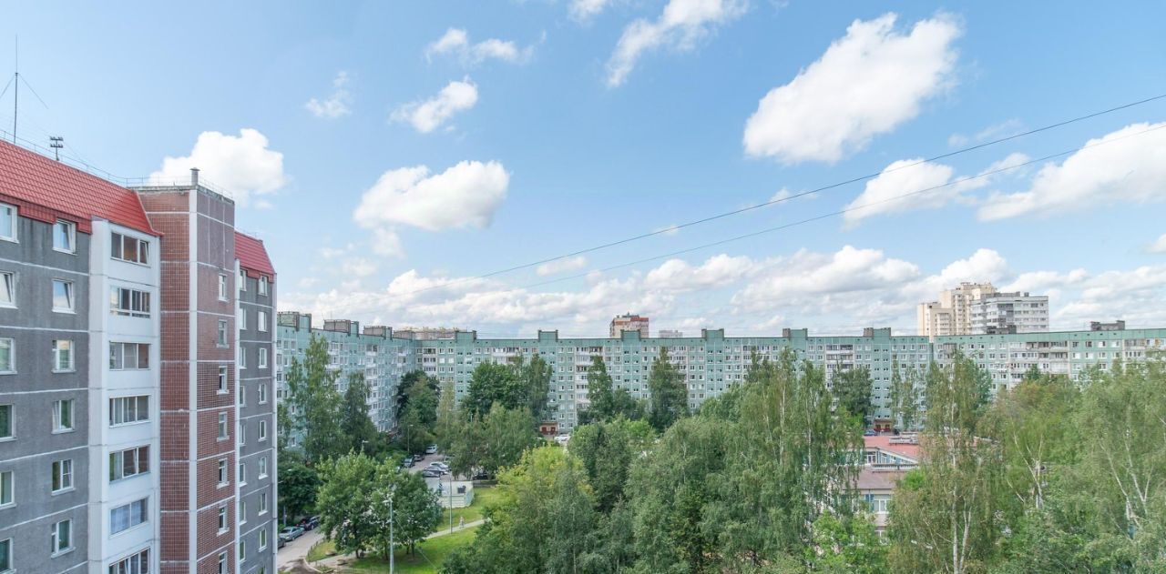 квартира г Санкт-Петербург метро Проспект Просвещения пр-кт Энгельса 150к/1б фото 24