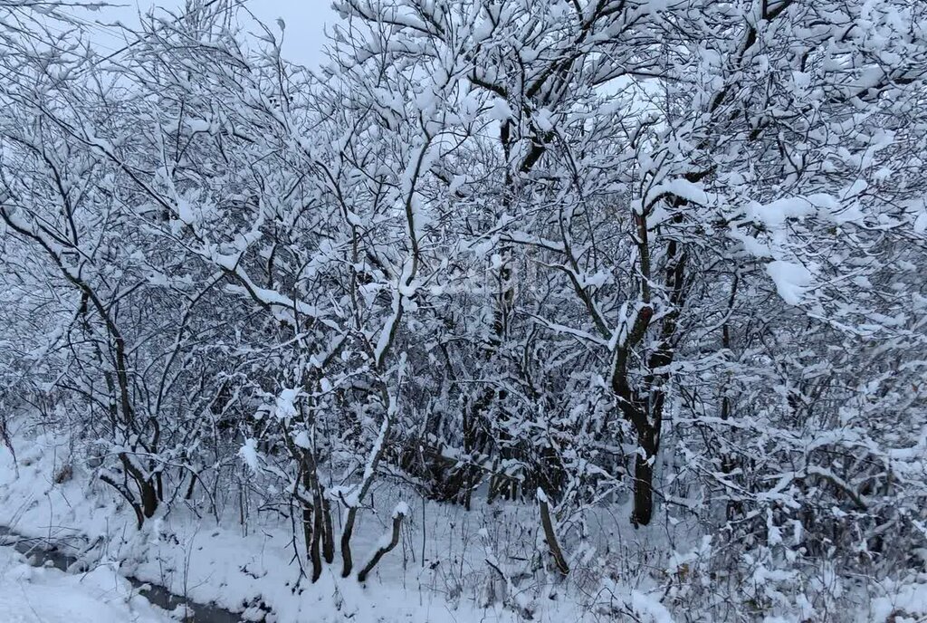 земля р-н Гурьевский п Новгородское фото 4