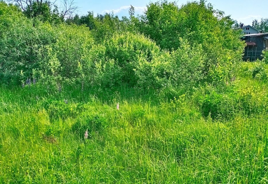 земля городской округ Богородский СНТ Дубрава фото 9