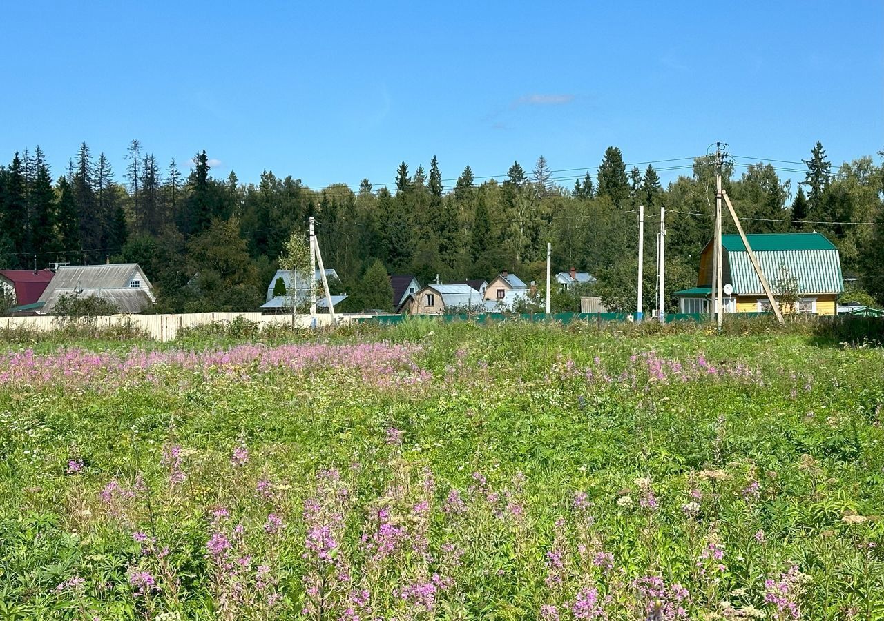 земля городской округ Клин д Шарино 9785 км, Новопетровское, Новорижское шоссе фото 13