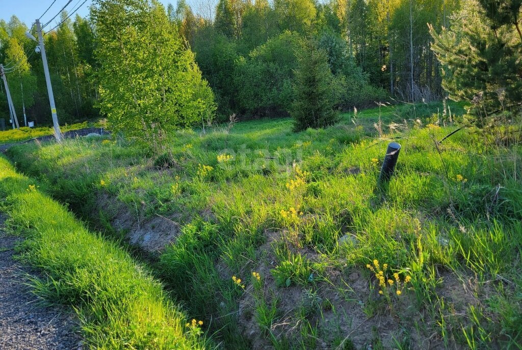 земля р-н Кировский д Пухолово Мгинское городское поселение фото 3