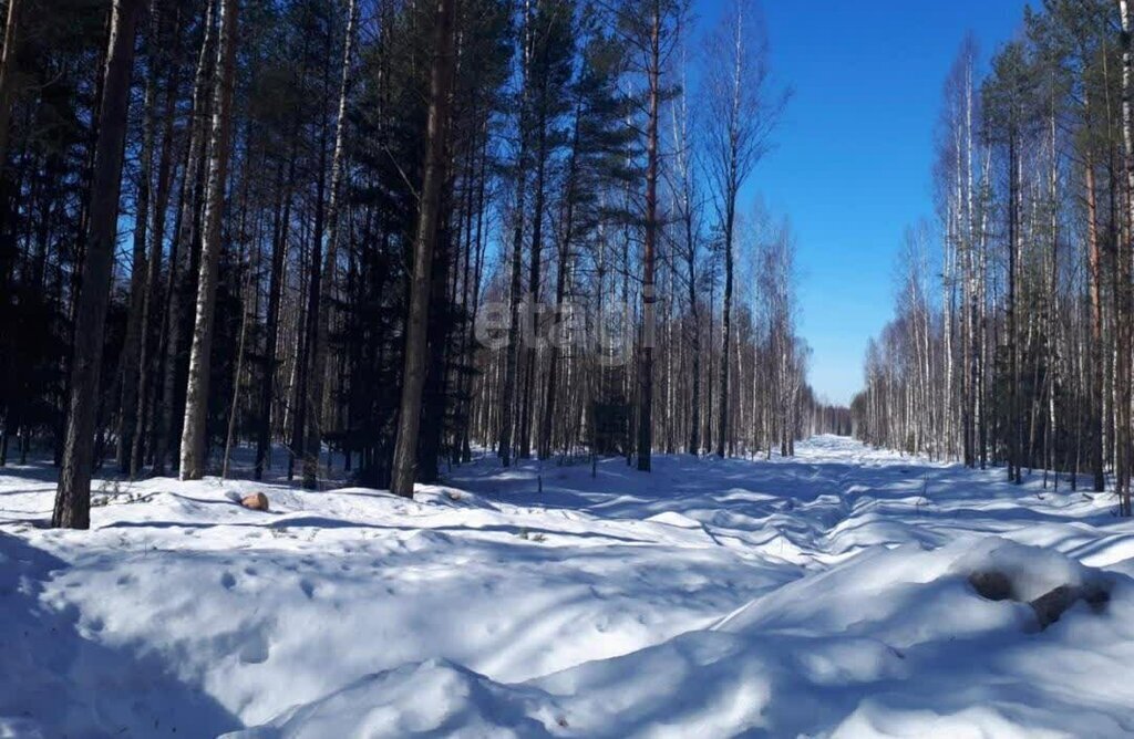 земля р-н Всеволожский снт Родничковое Всеволожское городское поселение фото 4