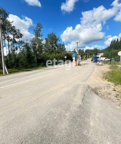 снт Защита Токсовское городское поселение фото