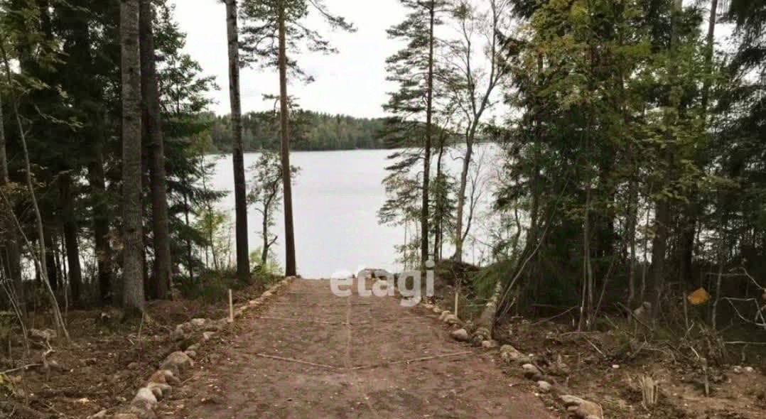 земля р-н Выборгский Приморское городское поселение, Сосновый пляж кп фото 5