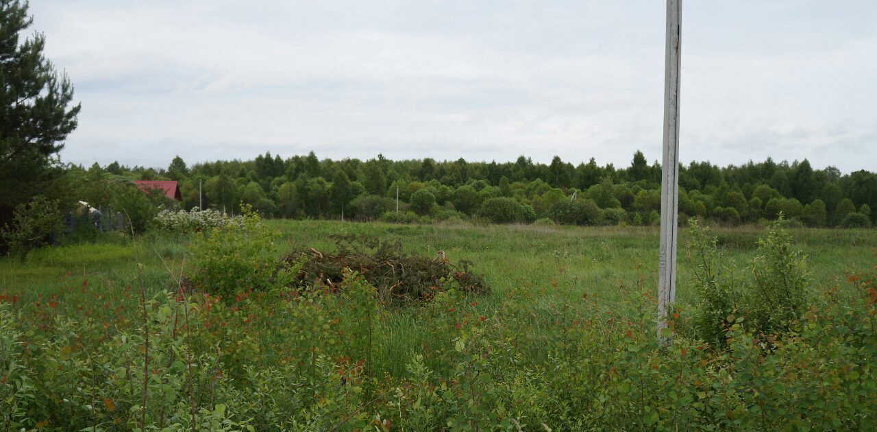 земля р-н Переславский д Фонинское Переславль-Залесский городской округ фото 1