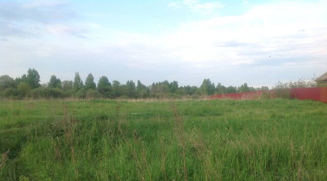 Переславль-Залесский городской округ фото