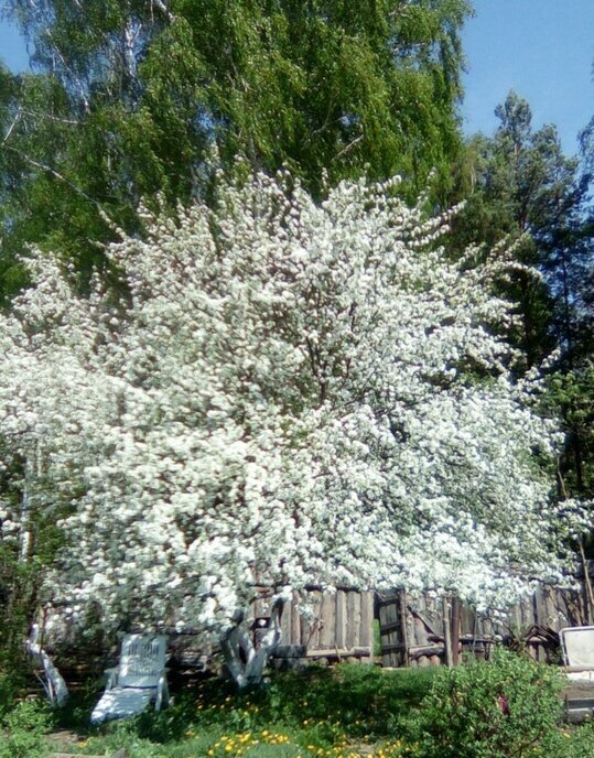 дом г Полевской коллективный сад Родничок, 27 фото 6