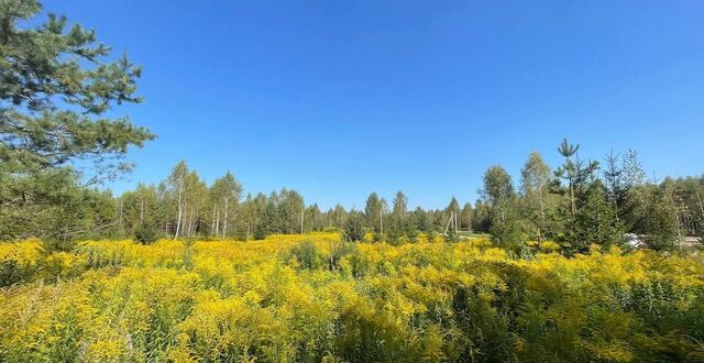 земля ул Земляничная 9758 км, Красноармейск, Фряновское шоссе фото