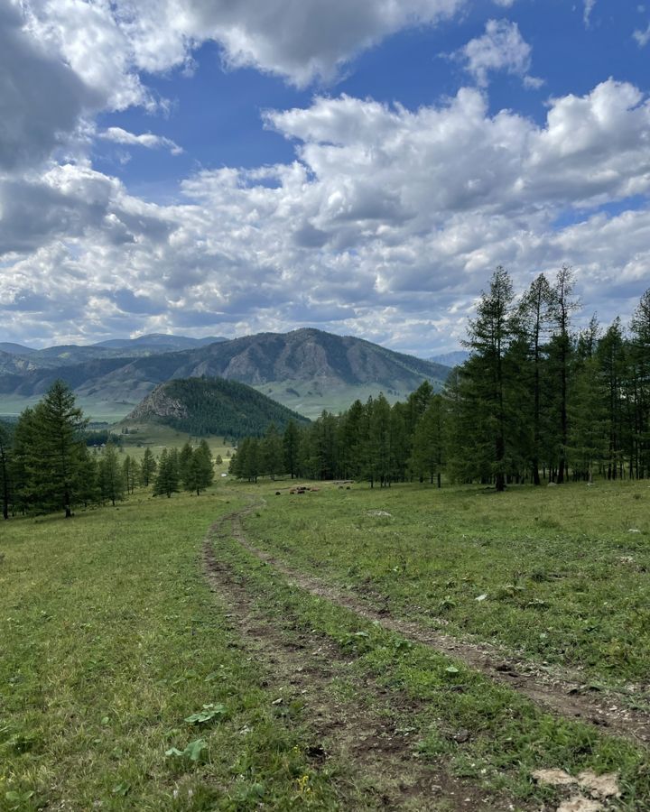 земля р-н Майминский с Озерное Горно-Алтайск фото 11