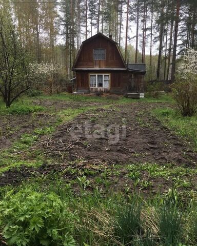 сад СНТ КоллективныйN1 Екатеринбург, Берёзовский г. о. фото