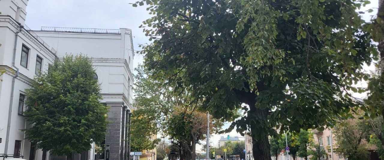офис г Владимир р-н Октябрьский ул Горького 42 фото 3