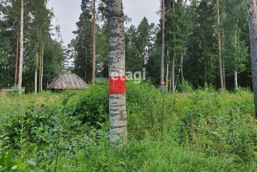 дом р-н Приозерский п Судаково Ларионовское сельское поселение фото 2