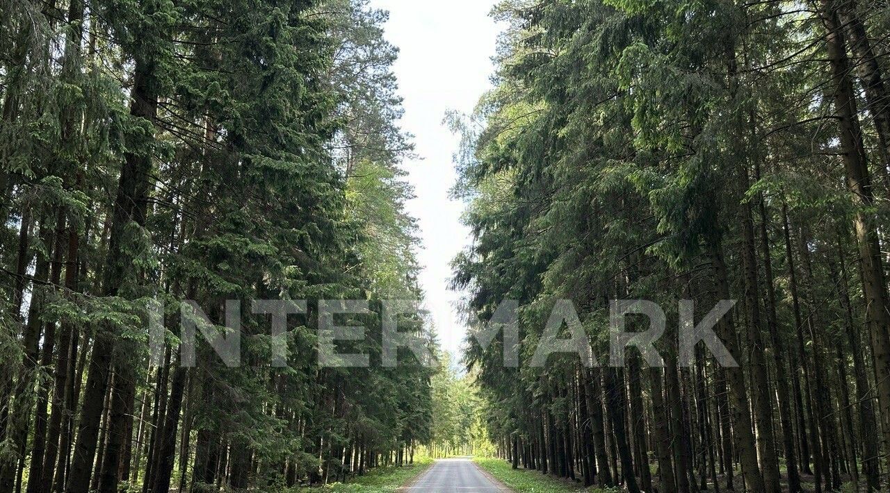 земля городской округ Солнечногорск п Лесное Озеро Ватутинки, Москва фото 4