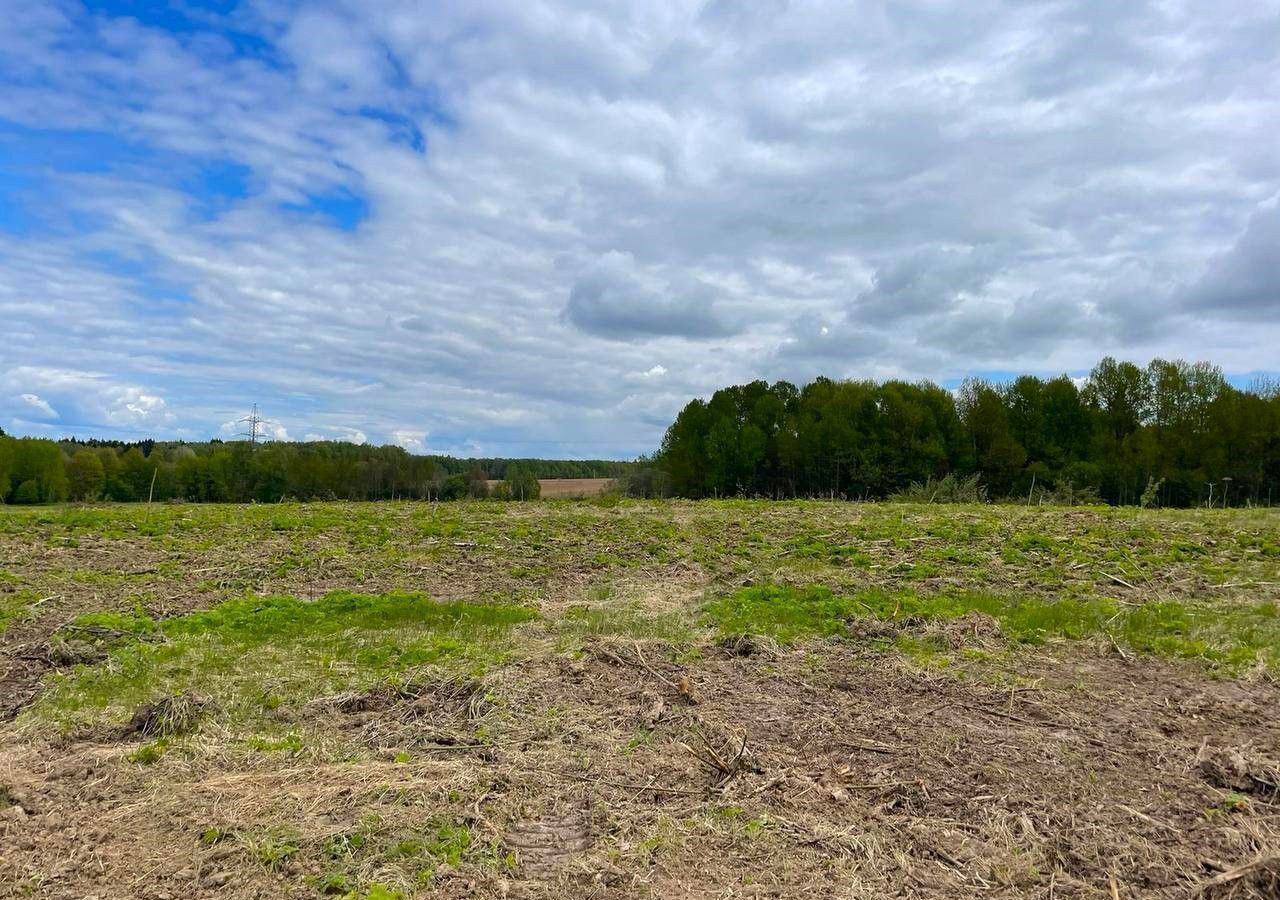 земля городской округ Клин д Акатьево 60 км, Клин, Ленинградское шоссе фото 1