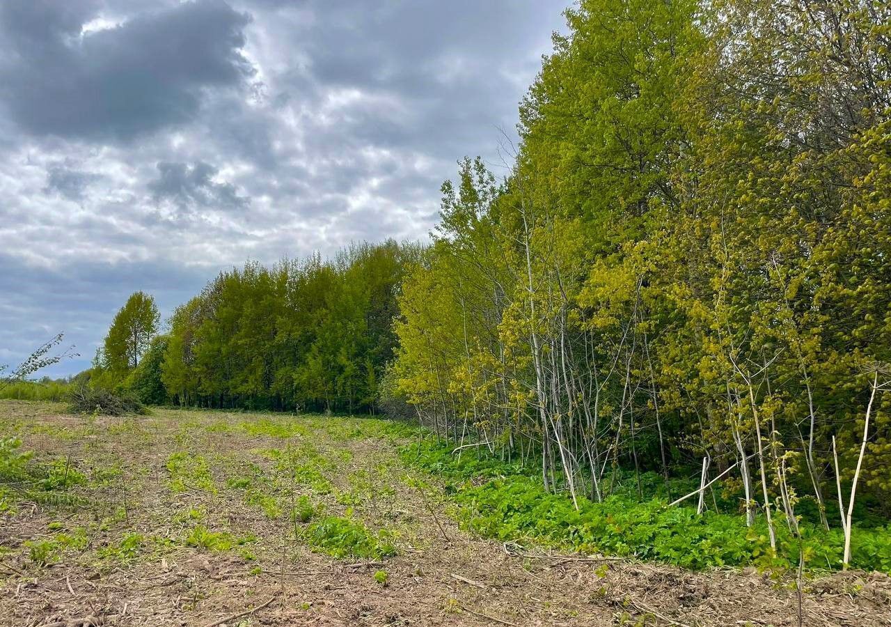 земля городской округ Клин д Акатьево 60 км, Клин, Ленинградское шоссе фото 2