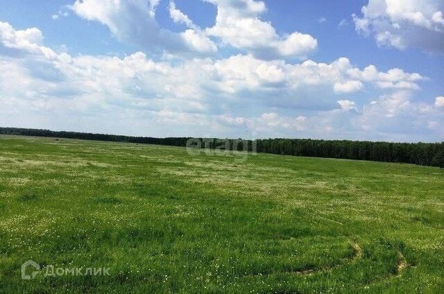 земля д Ясная Поляна Светлая улица, Тукаевский район фото