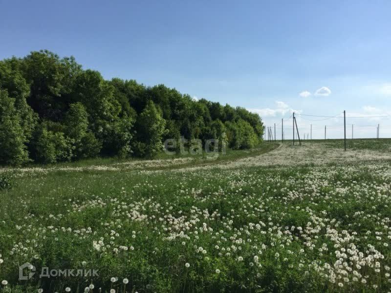 земля р-н Тукаевский Республика Татарстан Татарстан, деревня Кулушево фото 7