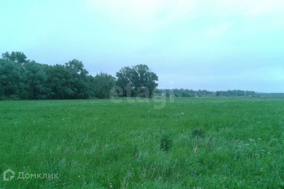 земля городской округ Коломна, деревня Андреевка фото 1