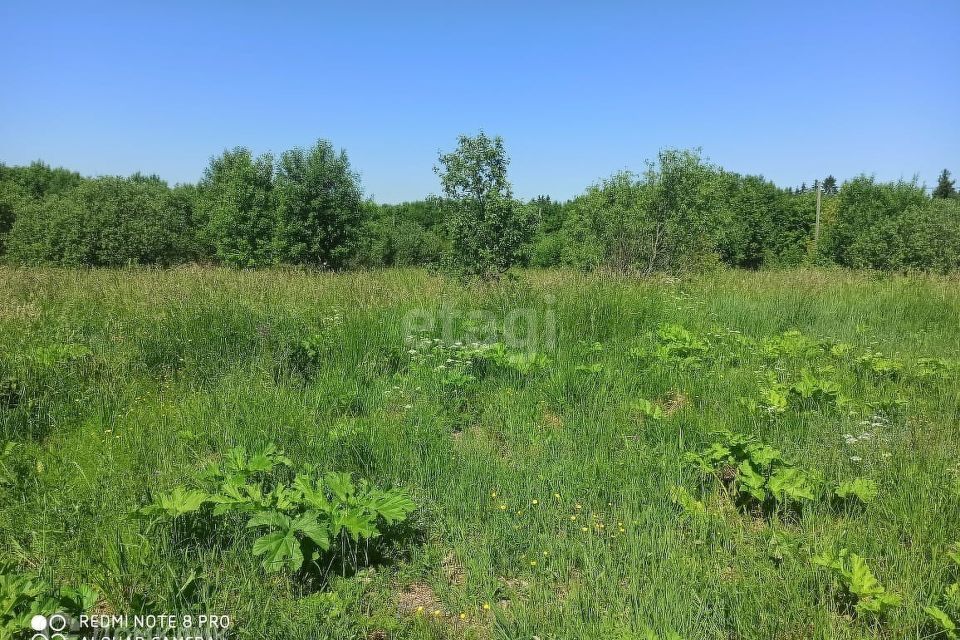 земля р-н Лужский п Оредеж ул Сазанова 2 фото 2