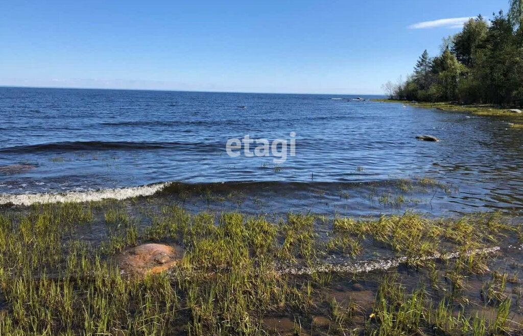 земля Сертоловское городское поселение, Парнас, садоводческое некоммерческое товарищество Дружба фото 28