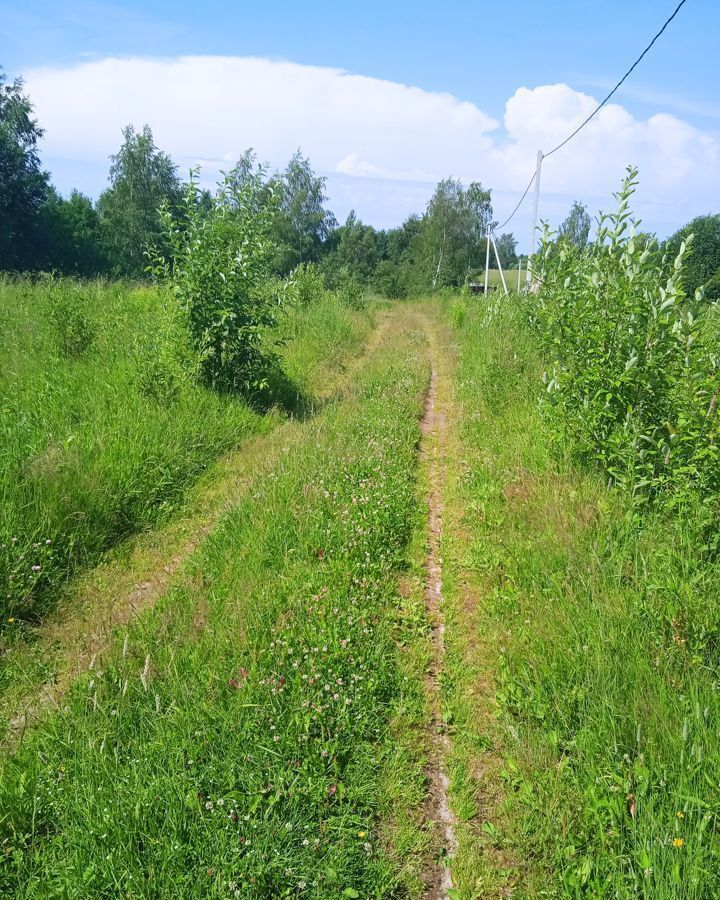 земля р-н Рыбинский с Спасс Назаровское сельское поселение, Рыбинск фото 9