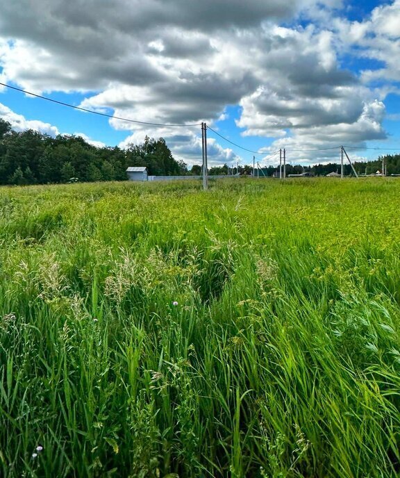 земля городской округ Наро-Фоминский д Латышская Апрелевка фото 10