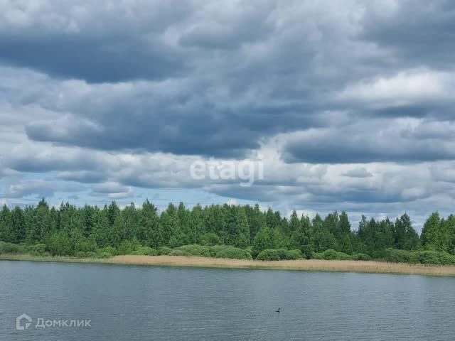 земля р-н Хвастовичский фото