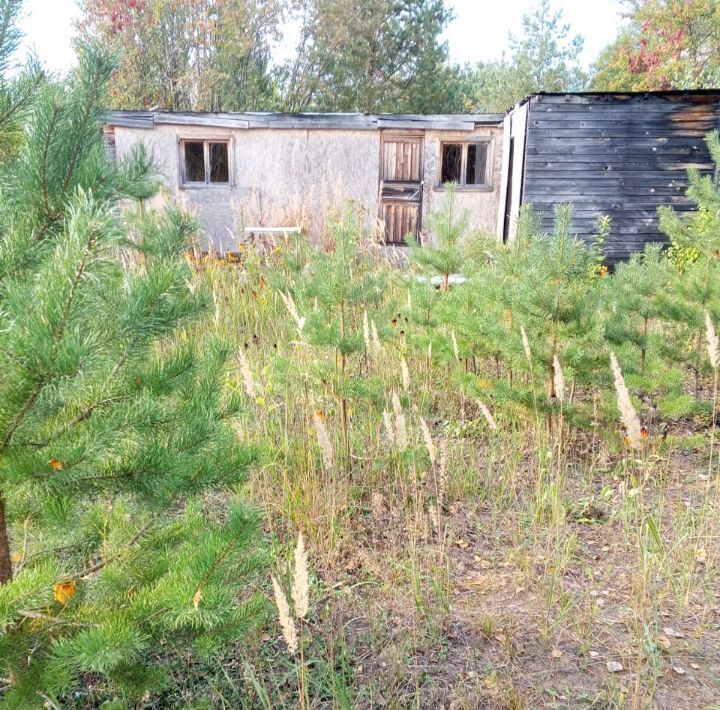 земля городской округ Рузский 62, Ручеек садовое товарищество фото 6