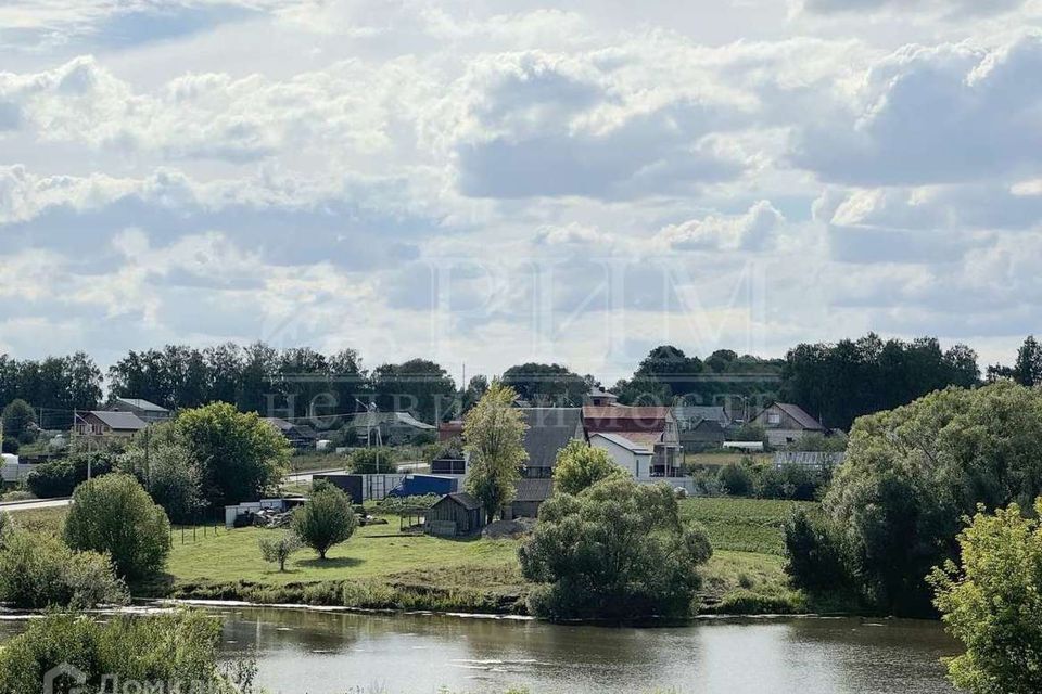 дом р-н Пензенский село Богословка фото 3