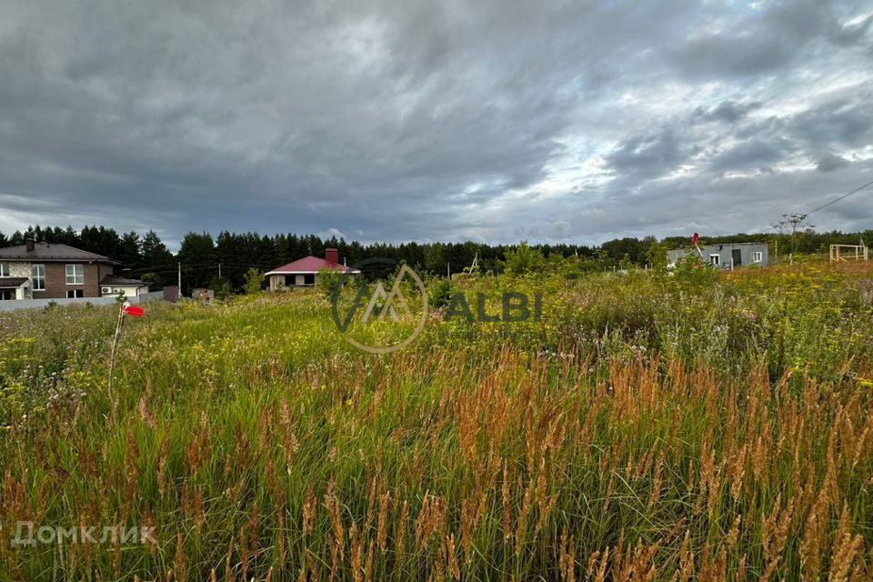 земля р-н Чишминский село Алкино-2 фото 3