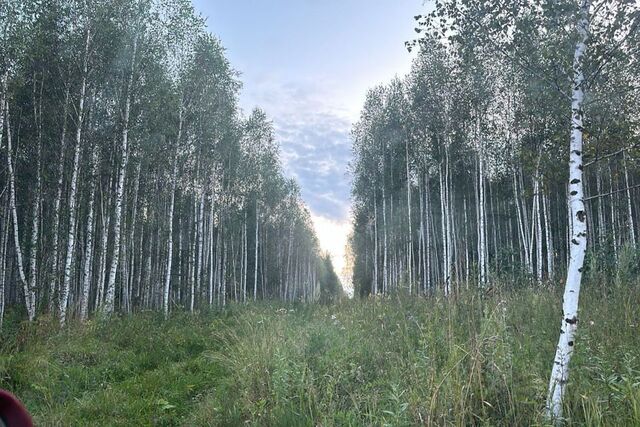 земля микрорайон Северный фото