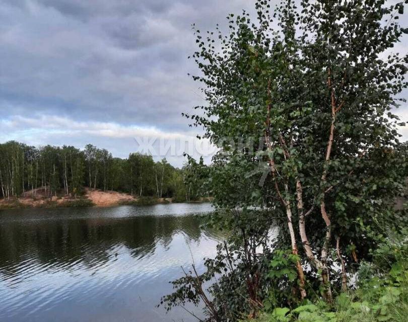 земля г Новосибирск р-н Октябрьский НСТ Комета-Берёзка, городской округ Новосибирск фото 5